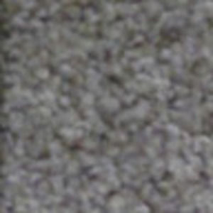 Meet your Posher, Cecilia